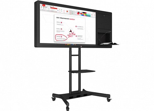 Интерактивная панель Horizon Scan c документ-камерой 55"